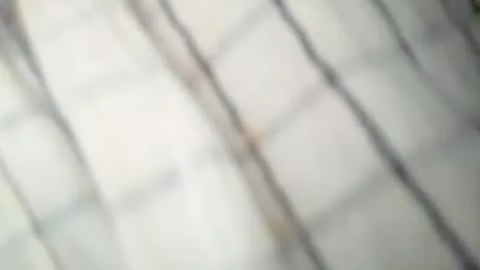 bigdick686268 的照片